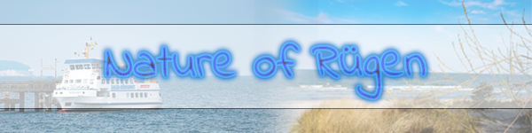 ruegen.png